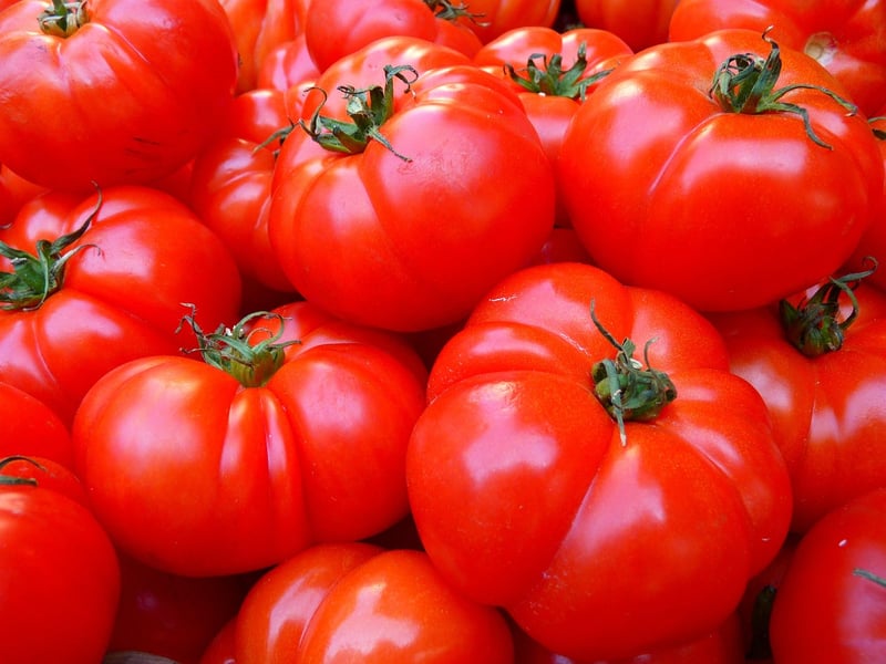 Plant-Based Diet